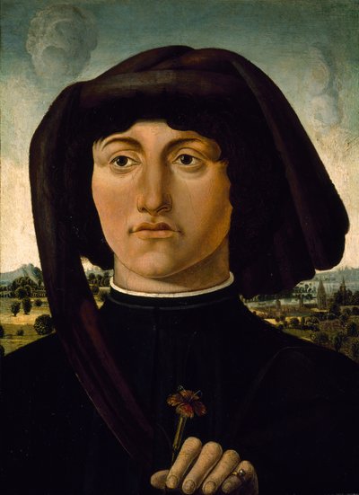 Retrato de un joven con una flor rosa, c.1475-85 (temple sobre madera) de Italian School