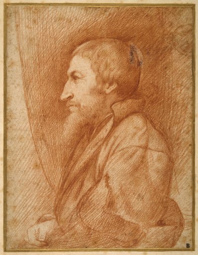Retrato de perfil (¿autorretrato?) de un hombre con barba de Italian School