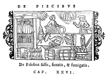 Salazón, secado y ahumado de pescado, ilustración de Historia de Gentibus Septentrionalibus de Olaus Magnus (1490-1558), publicada en Roma, 1555 de Italian School