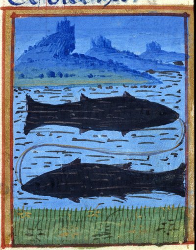 Signo del pez. Horóscopo italiano, mediados del siglo XV. de Italian School