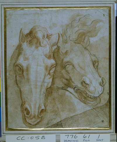 Estudios para las cabezas de dos caballos de Italian School