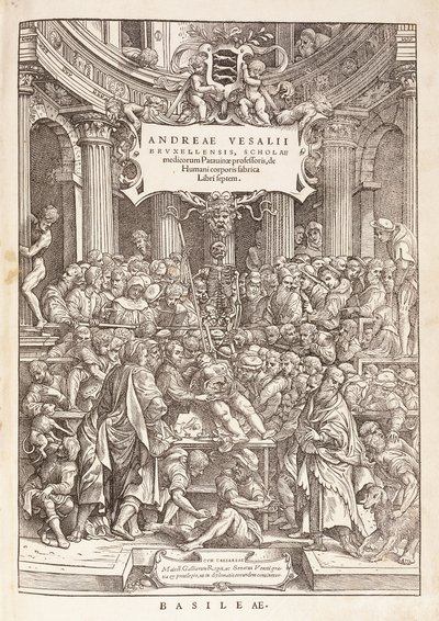 El autor realizando una disección anatómica en un teatro quirúrgico, 1543 de Italian School