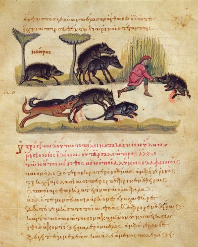 Tratado sobre el jabalí: vida, apareamiento, caza, ilustración de la Cynegetica por Oppian de Italian School