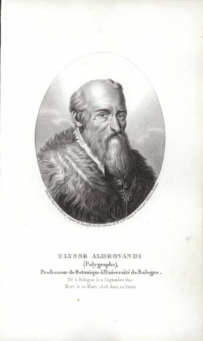 Ulisse Aldrovandi de Italian School