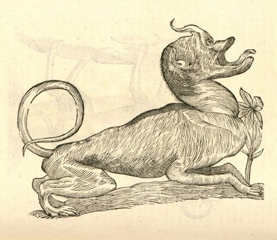 Ilustración de Canis monstroso capite de Historia de Monstruos de Aldrovandi, 1642 de Italian School