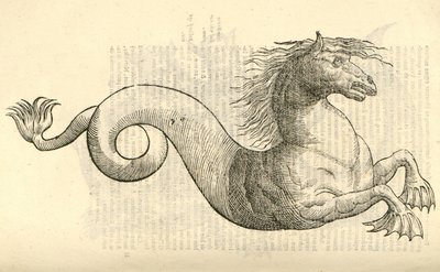 Ilustración de Equus marinus monstrosus de Historia de Monstruos de Aldrovandi, 1642 de Italian School