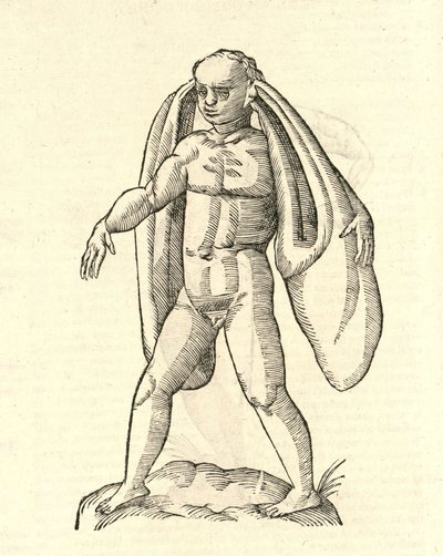Ilustración de Homo Fanesius auritus de Historia de Monstruos de Aldrovandi, 1642 de Italian School