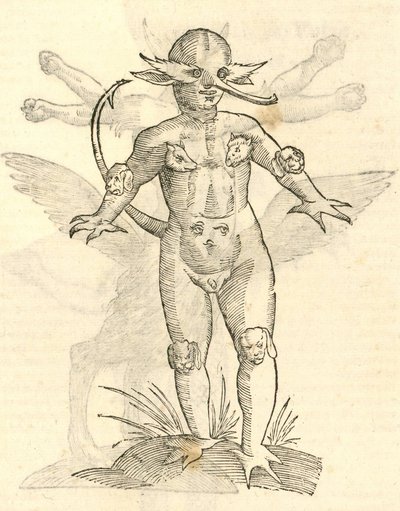 Ilustración de Infans capitibus Animalium de Historia de Monstruos de Aldrovandi, 1642 de Italian School