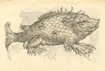 Ilustración de Monstrosus Sur marinus de Historia de Monstruos de Aldrovandi, 1642 de Italian School