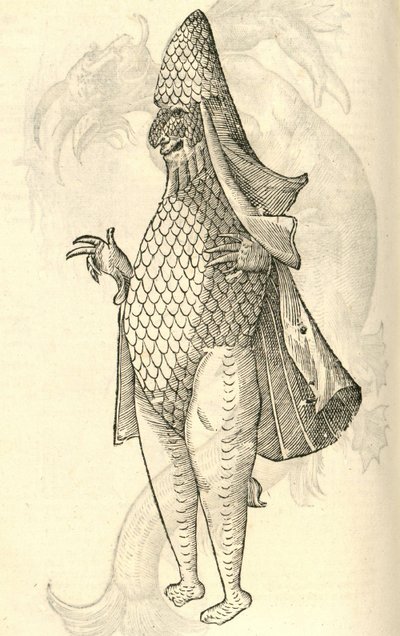 Ilustración de Monstrum Marinum rudimenta habitus Episcopi referens de Historia de Monstruos de Aldrovandi, 1642 de Italian School