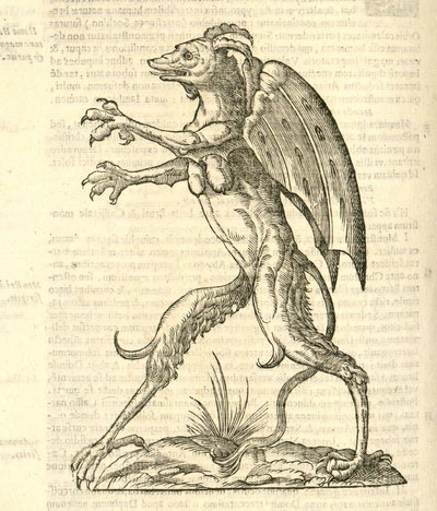 Ilustración de Monstrum alatum, & cornutum instar Cacodaemonis de Historia de Monstruos de Aldrovandi, 1642 de Italian School