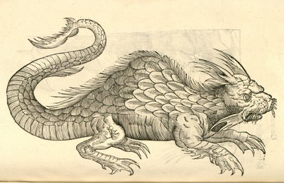 Ilustración de Orobonis Piscis effigies de Historia de Monstruos de Aldrovandi, 1642 de Italian School