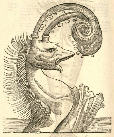 Ilustración de Pseudophyseter de Historia de Monstruos de Aldrovandi, 1642 de Italian School