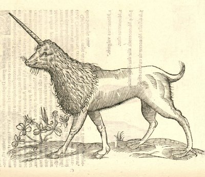 Ilustración de un Camphurch de Historia de Monstruos de Aldrovandi, 1642 de Italian School