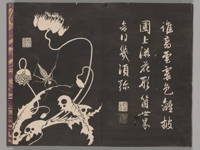 Soken sekisatsu de Ito Jakuchu