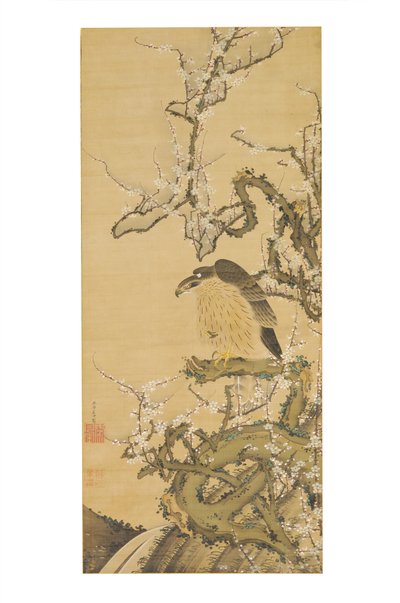 Umetaka-zu (Halcón en una rama de ciruelo en flor) de Ito Jakuchu