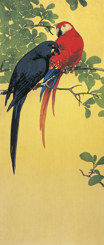 Primer plano de dos loros posados en una rama de Ito Sozan