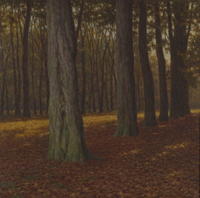 Paisaje boscoso (óleo sobre lienzo) de Ivan Fedorovich Choultse