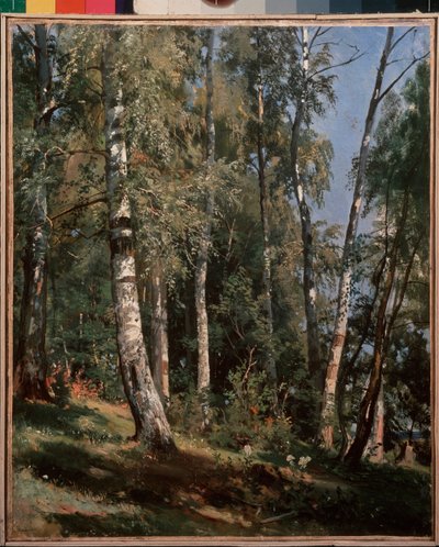 Bosque de abedules (Birch grove) - Pintura de Ivan Ivanovich Shishkin (Shishkin) (1832-1898), óleo sobre lienzo de Ivan Ivanovich Shishkin