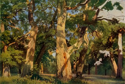 Robles al anochecer, 1887, 1965 de Ivan Ivanovich Shishkin