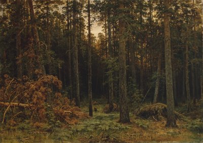 Pinar, 1885 de Ivan Ivanovich Shishkin