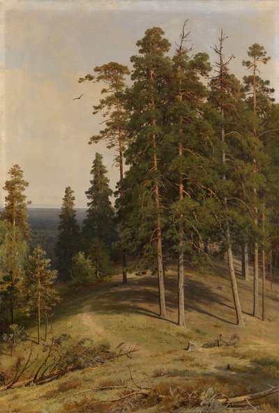 El Bosque de Pinos, 1895 de Ivan Ivanovich Shishkin