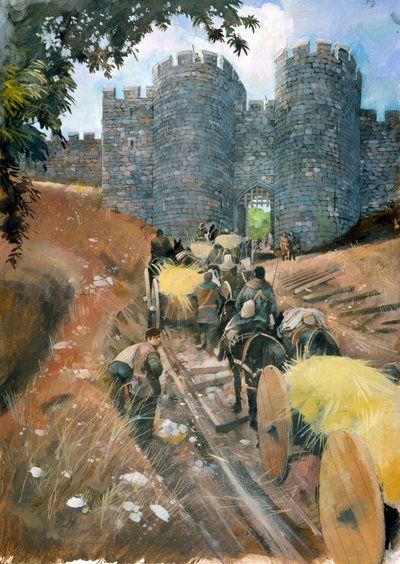 Castillo de Beeston de Ivan Lapper