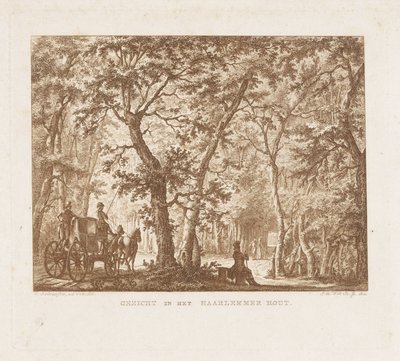 Carruaje y caminantes en el Haarlemmerhout Ver en Haarlemmer Hout (título en objeto) de Izaak Jansz. de Wit
