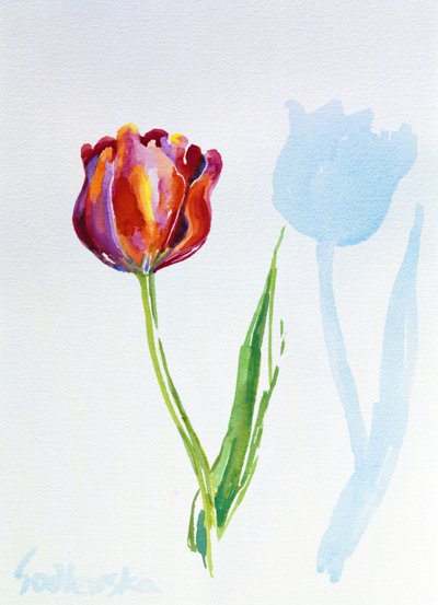 Tulipán de Izabella Godlewska de Aranda