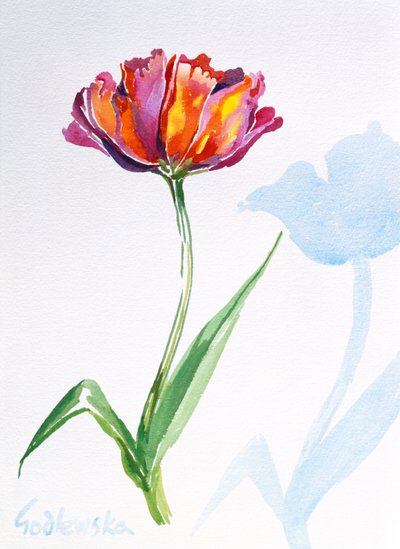 Tulipán de Izabella Godlewska de Aranda