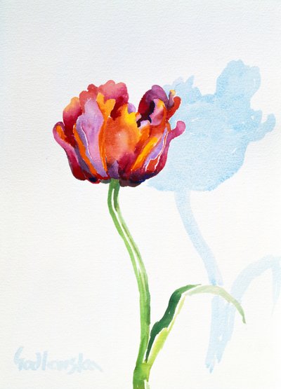 Tulipán de Izabella Godlewska de Aranda