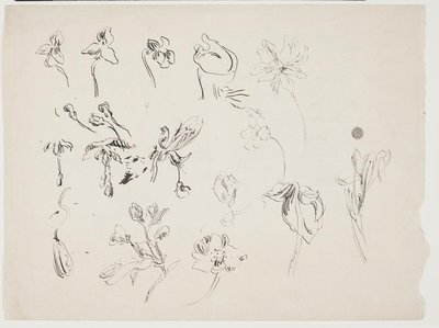 Bocetos de flores de J.A. Jerichau