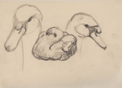 Cisne y cabezas de cisnes de J.A. Jerichau