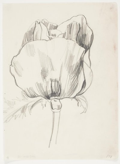 Amapola de J.A. Jerichau