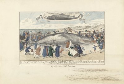 Cachalote varado en Egmond aan Zee, 1764 Justo al norte de Egmond op Zee, un Cagelot o Potwhale. varado vivo el 15 de febrero de 1764. (título sobre el objeto) de J.A. Visser