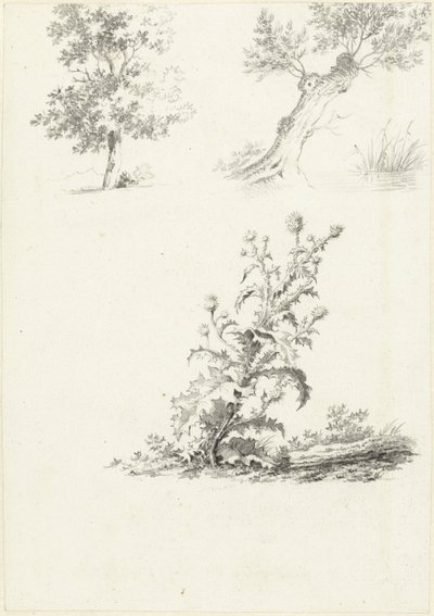 Dos estudios de un árbol y un cardo de J.B. Joss (attributed to)