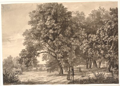 Vista de un camino en un bosque cerca de Sorø, Selandia de Johan Christian Dahl