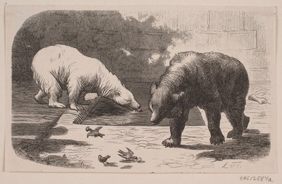 Osos en el Jardin des Plantes de J.C. Nielsen