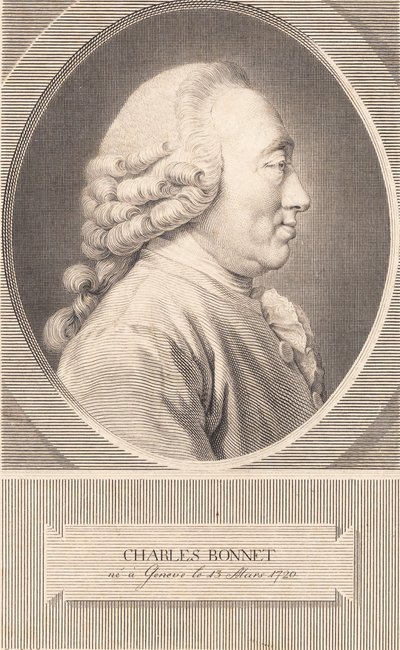 Charles Bonnet de J.F. Clemens