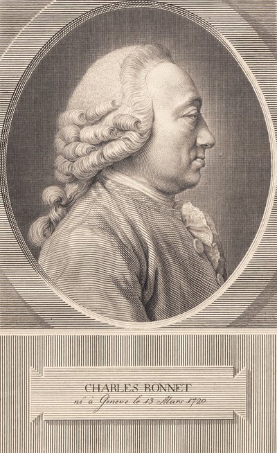 Charles Bonnet de J.F. Clemens