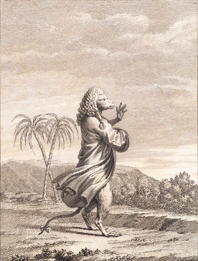 Un mono martiniqués de J.F. Clemens