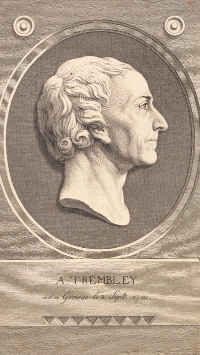 Medallón en relieve con retrato del zoólogo Abraham Trembley de J.F. Clemens