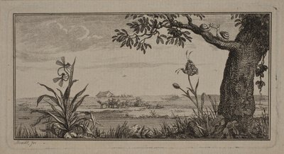 Vista de un paisaje llano, en primer plano planta con insectos y árbol con caracoles de J.F. Clemens