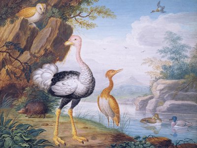 Aves exóticas y un búho en las orillas de un río de J.F. Hefele