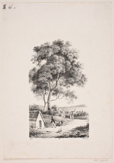 Paseando por un camino, a la izquierda árboles altos de J.F. Møller