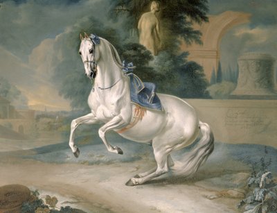 El semental blanco 
