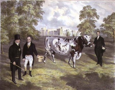Sir Charles Morgan presentando al Rey Guillermo IV un toro Shorthorn en el Castillo de Tredegar, Monmouth, grabado por M. Gauci de J.H. (after) Carter