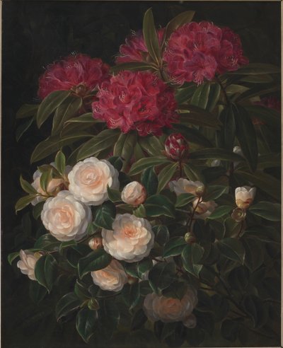 Camelias y rododendros de J.L. Jensen
