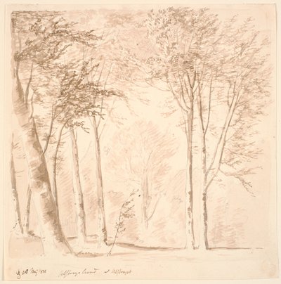 Paisaje forestal de J.P. Møller