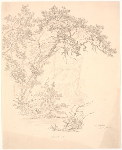 Árboles de J.P. Møller